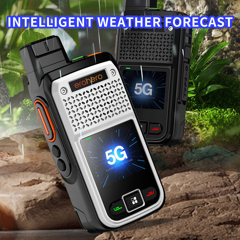 Public Network Simulated Dual-Mode Portable Radio Walkie Talkie