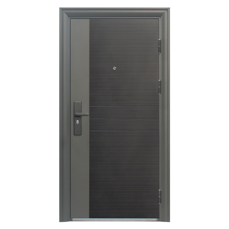 Modern 304 Stainless Steel Black Glass Shower Door Design