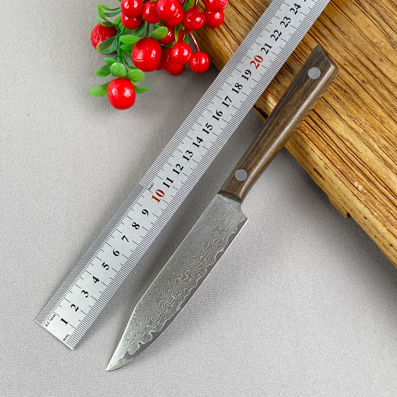 Нож для фруктов DS-2972, 10 см, дамасская сталь VG-10