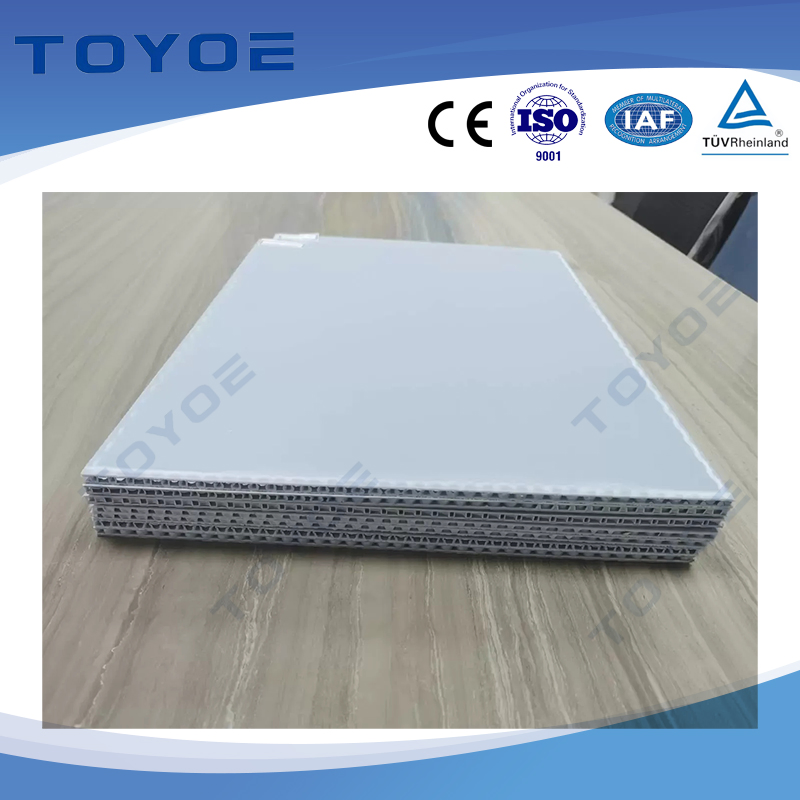 China Source Factory Price Rich in Color UV Resistance PVC Wall Panel Building Material PP Honeycomb Panels for Car