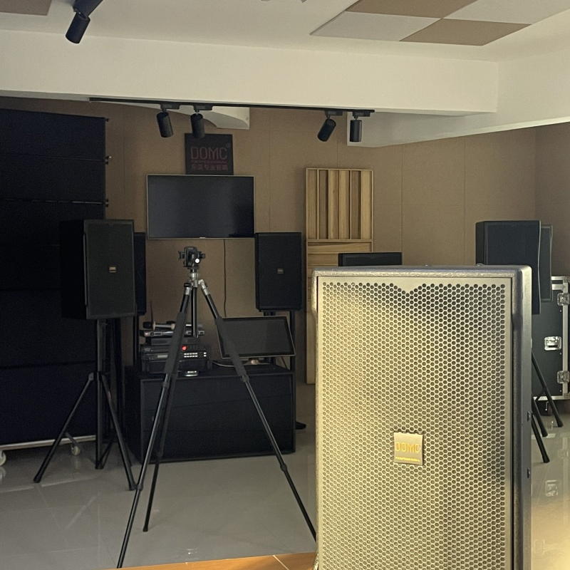 10-Inch Domc K210 with 50Hz-20kHz and 95dB Sensitivity