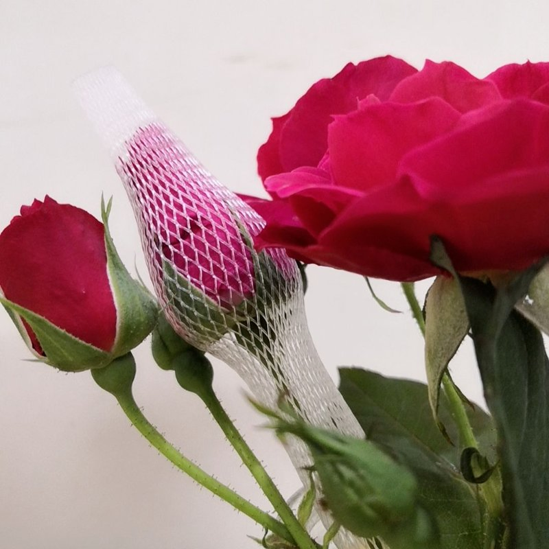 Сетка для защиты роз от вредителей и солнца