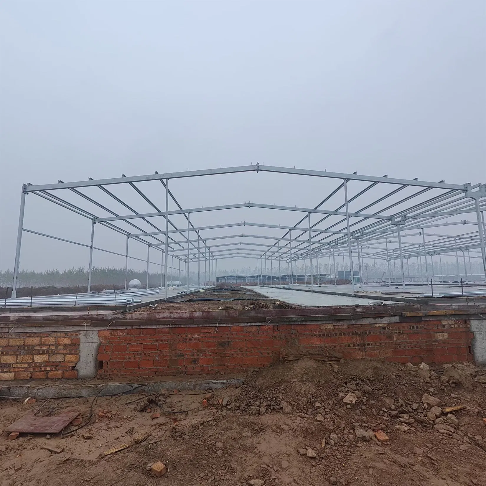 Customizable Poultry Farm Quick Installation Design High-Quality Light Weight Steel Structure Prefabricated Pig Shed House