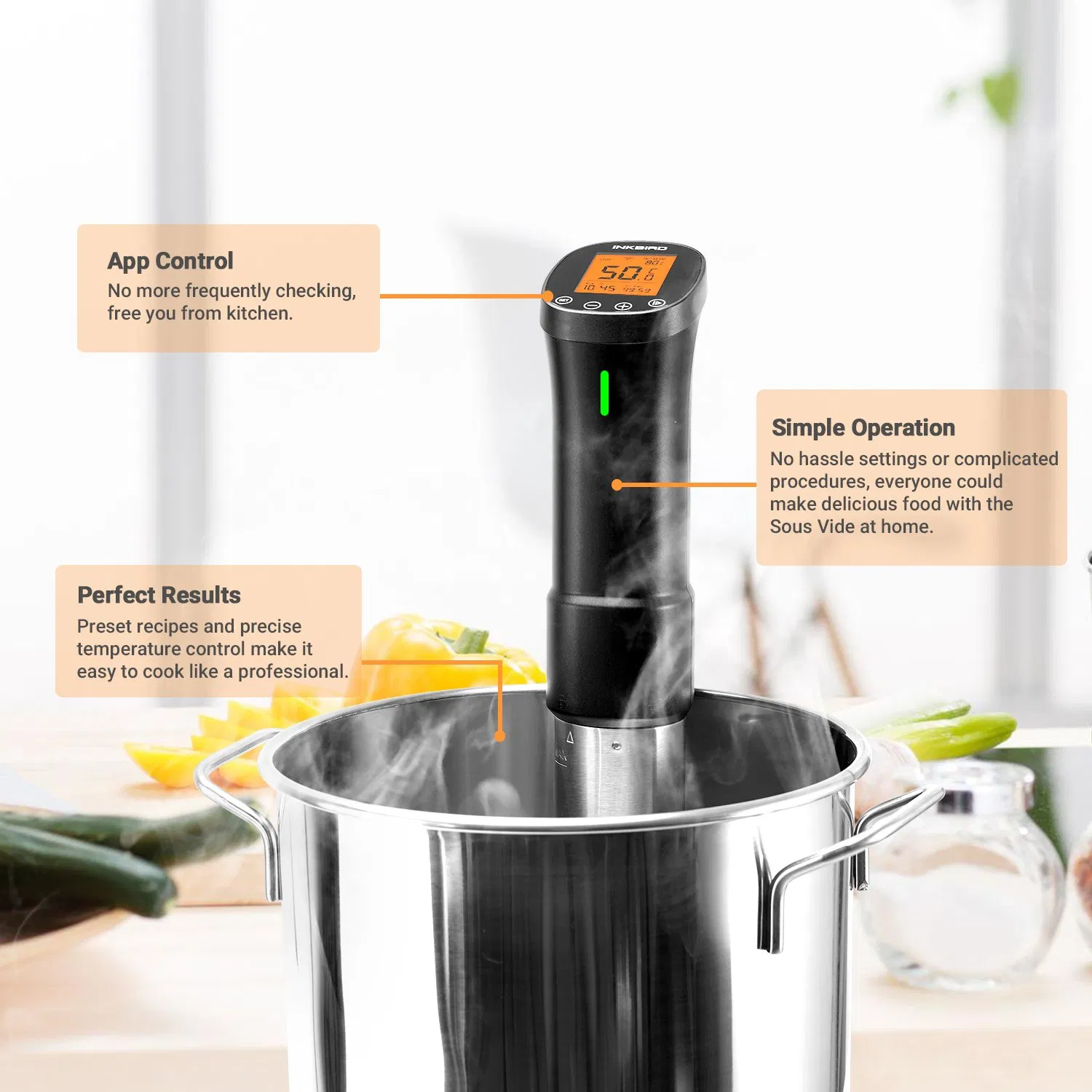 Inkbird Isv-200W WiFi Remote Control Sous Vide Machine with LCD Screen