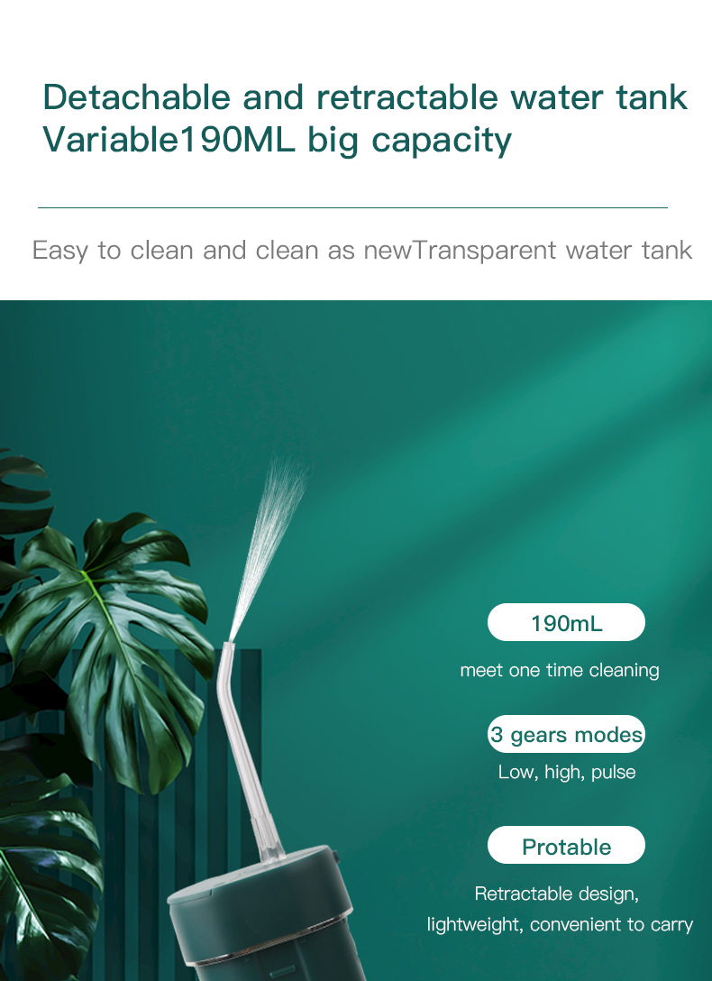 Wholesale Supplier Waterproof Floss Water Flosser with Fad