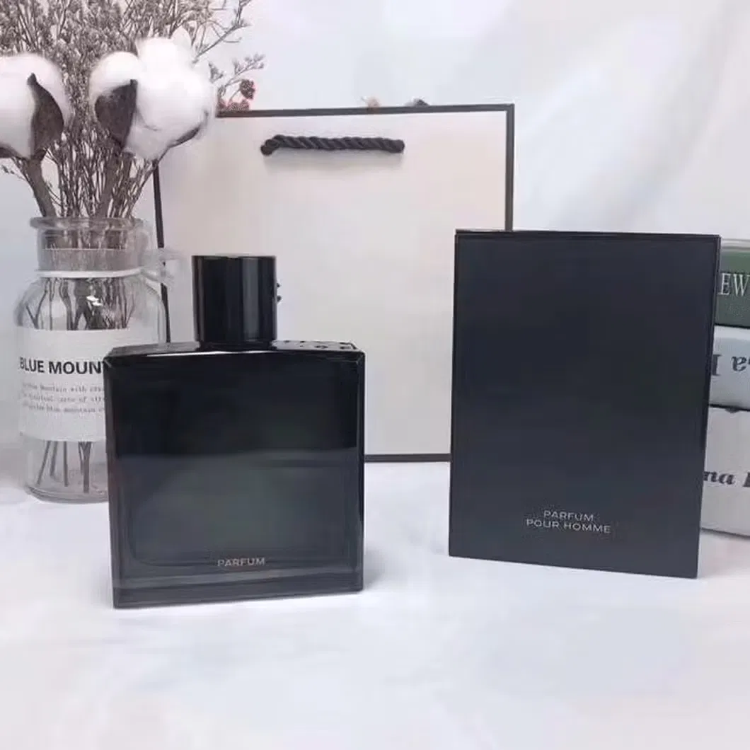 USA Warehouse 1-4 Working Days Delivery Top Quality Cologne Original Perfume 100ml Parfum with Receipt - Perfume and Cologne Price
