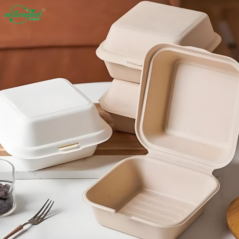 Lightweight Disposable Bagasse Square Box for Outdoor Picnics and Events