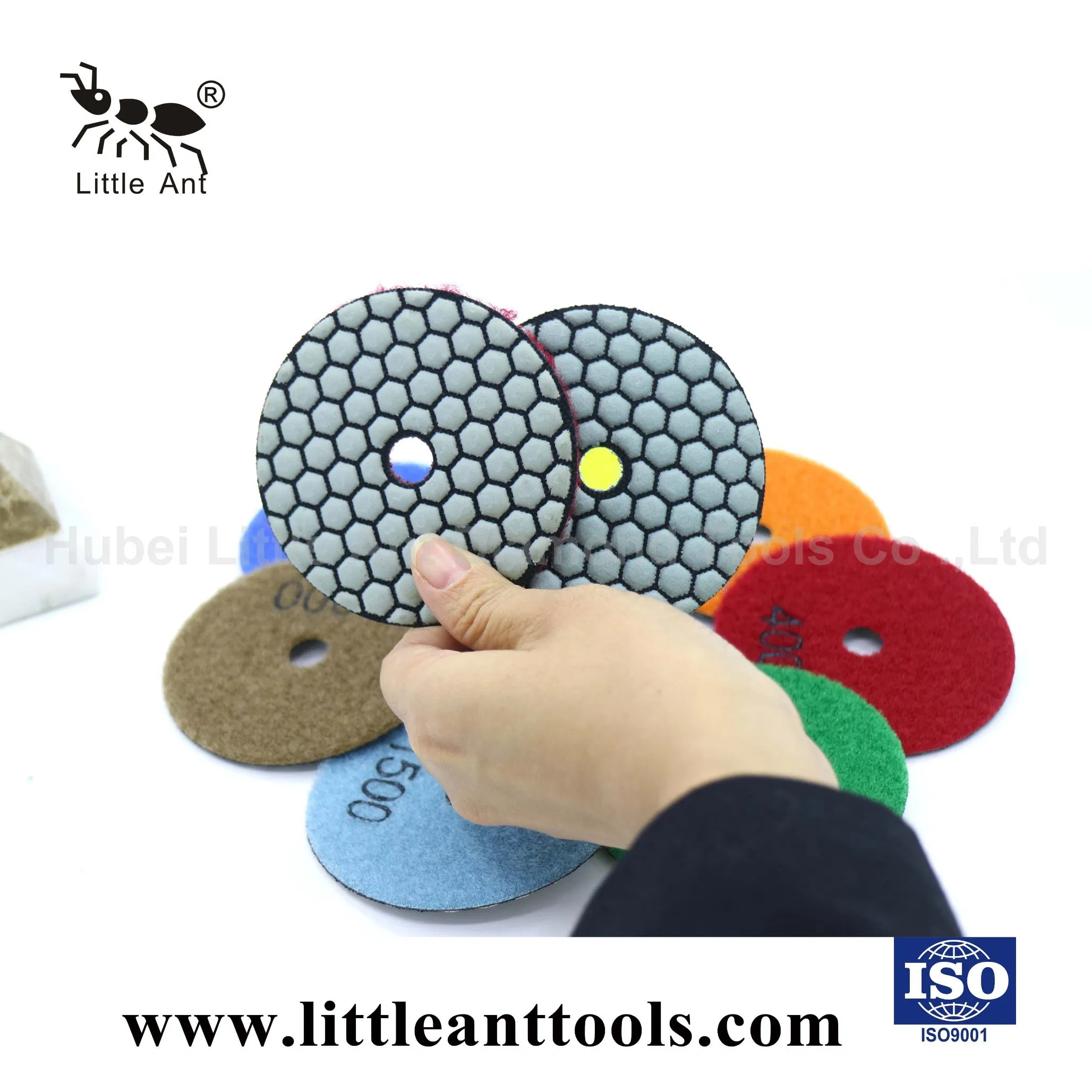 Diamond Tool of Dry Polishing Pads