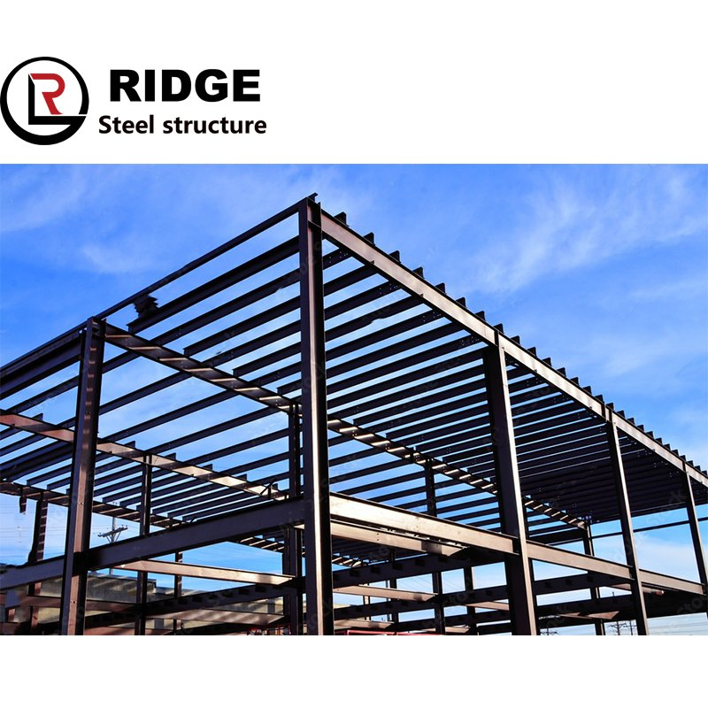 New Structural Steel Prefab House Sports Center for Sale Ready Made Gym