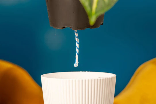 Fresh Plant Silver Indukan with Medium Self-Watering Pot