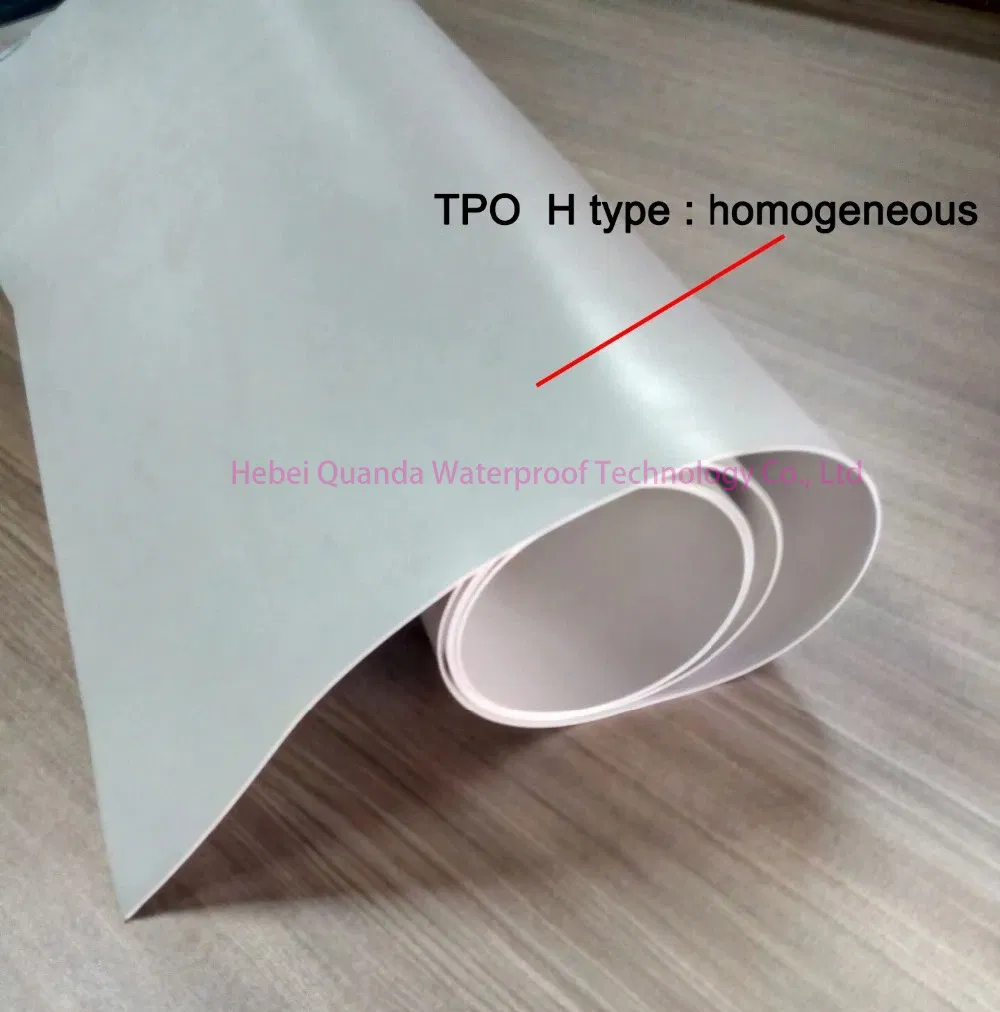 0.8mm Outdoor Tpo Waterproof Membrane Construction/Building Material Waterproofing Membrane
