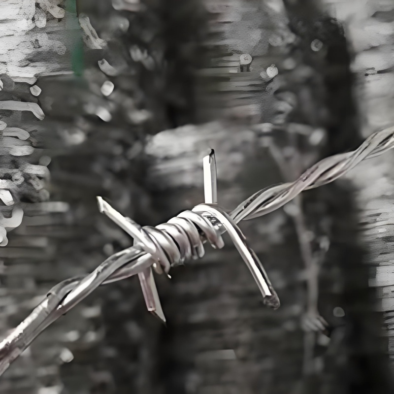 Heavy-Duty 500 Meters Barbed Wire for Reliable Fencing Solutions