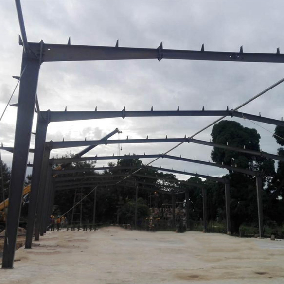 Large Span Galvanized Light Steel Structure Prefabricated Steel Structure Building