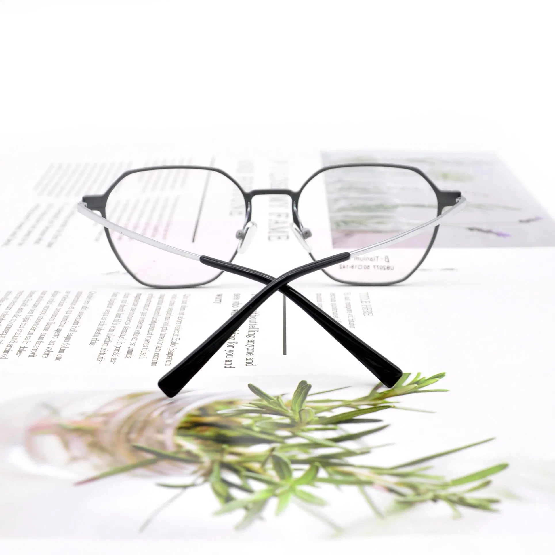 Wenzhou Factory Glasses Beta IP Titanium Optical Eyeglasses