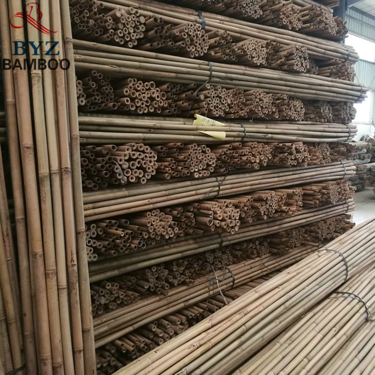 Natural Tonkin Bamboo Poles Bamboo Canes for Plant Garden Support