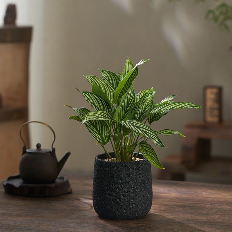 Горшок цветочный вулканический камень