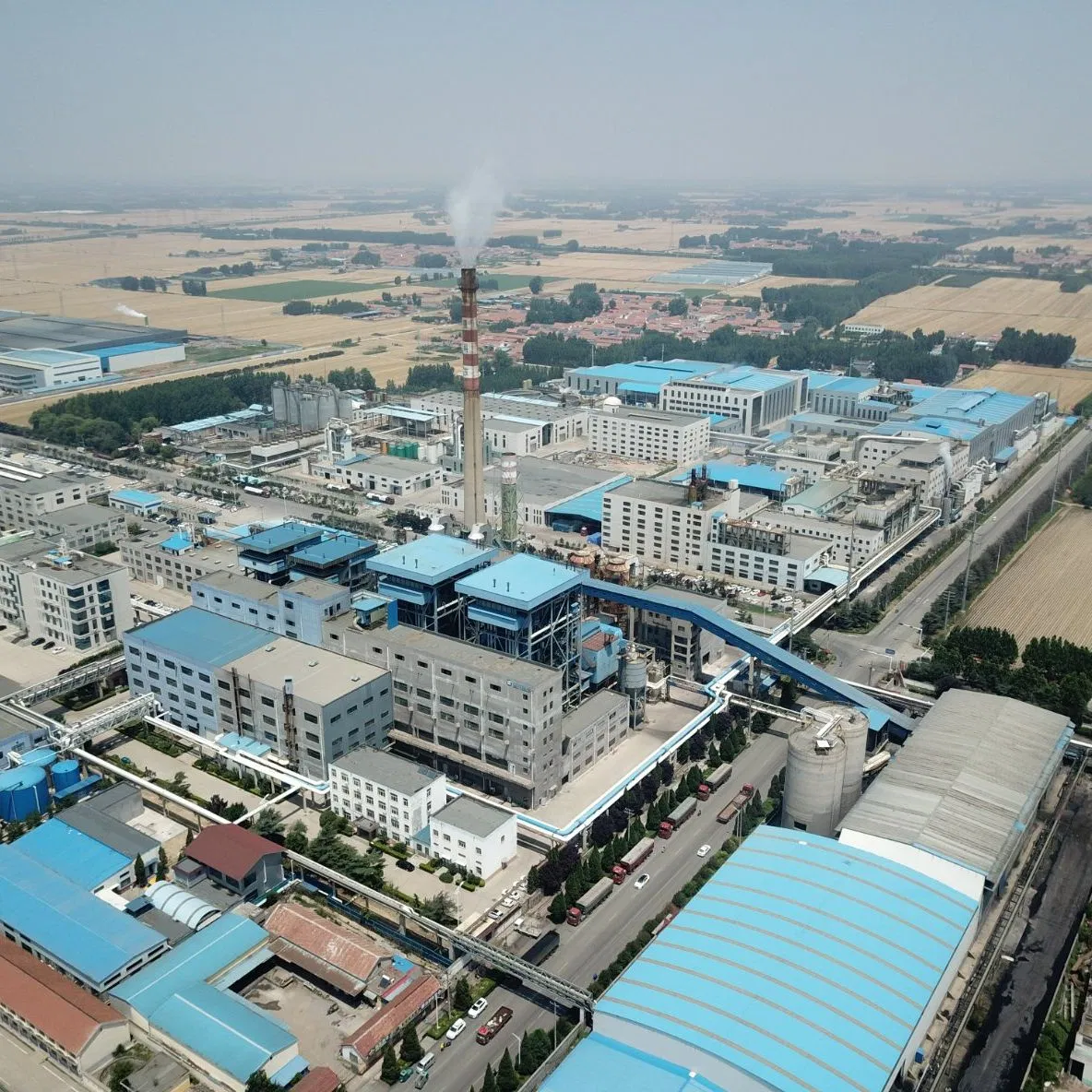 Storage Shed Industrial Construction Building Steel Structure Warehouse