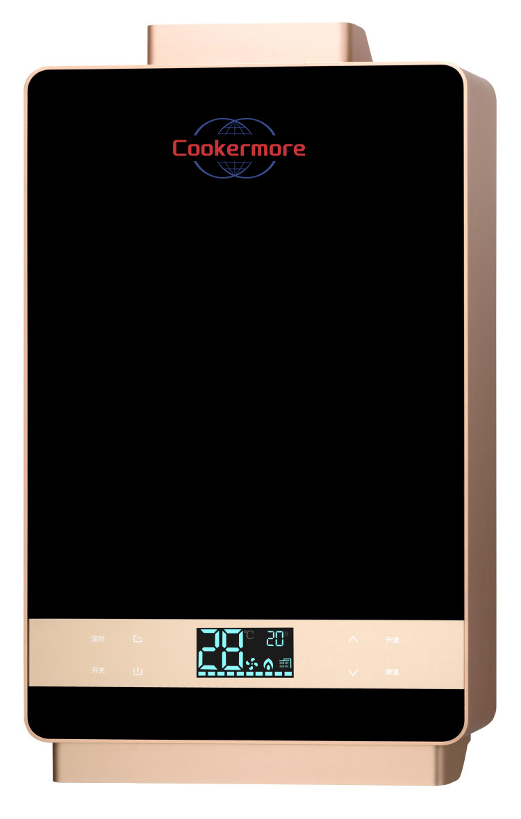 Factory Professional Gas Geyser Forced Exhaust System Low Pressure Gas Water Heater