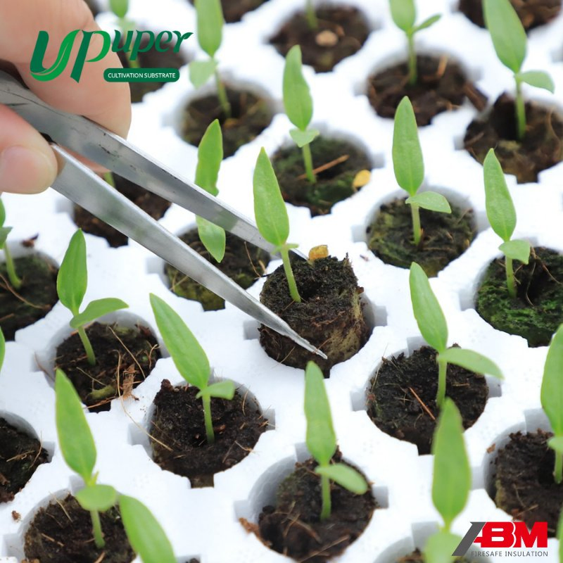 Upuper CPR22 Rock Wool Seedling Starter Plug Mechanical Seedling Compatible Small Size Hydroponic Seedling Substrate Lana de Rock Rock Wool Round Plug