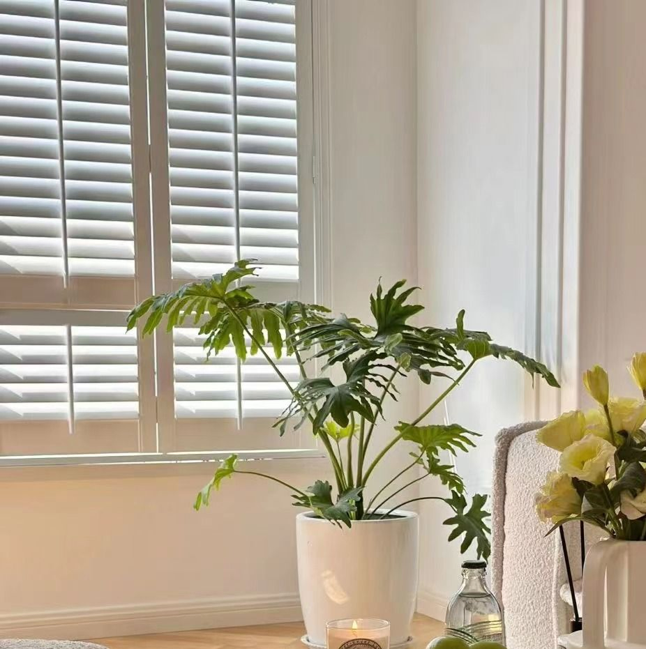 Australia England Movable Bi Fold Sliding Plantation Windows Shutters