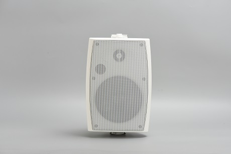 30W 5 Inches PA System Cheap Wall Mount Public Address Indoor Speaker with High Quality