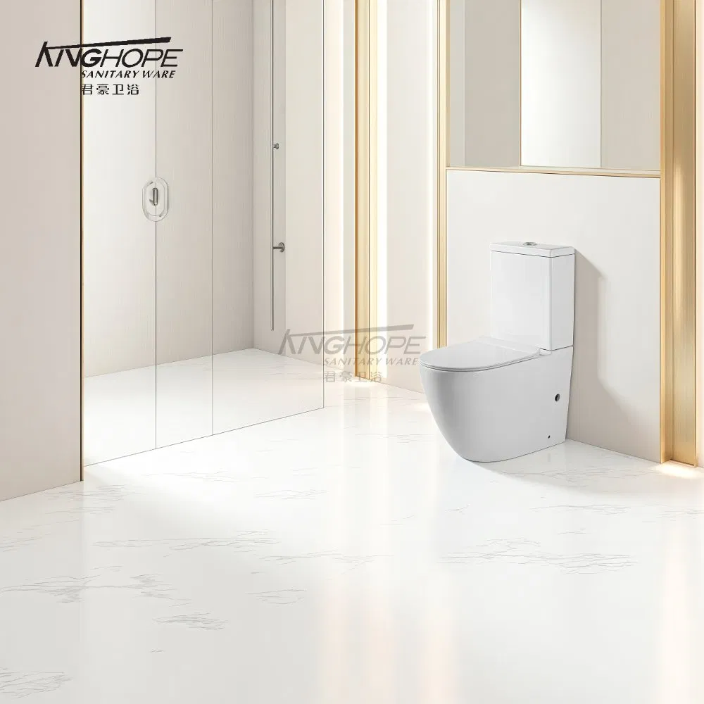 Ceramic Dual Flush Rimless Two-Piece Toilet for Home Use Factory Direct Sale Bathroom Furniture Wc Toilet