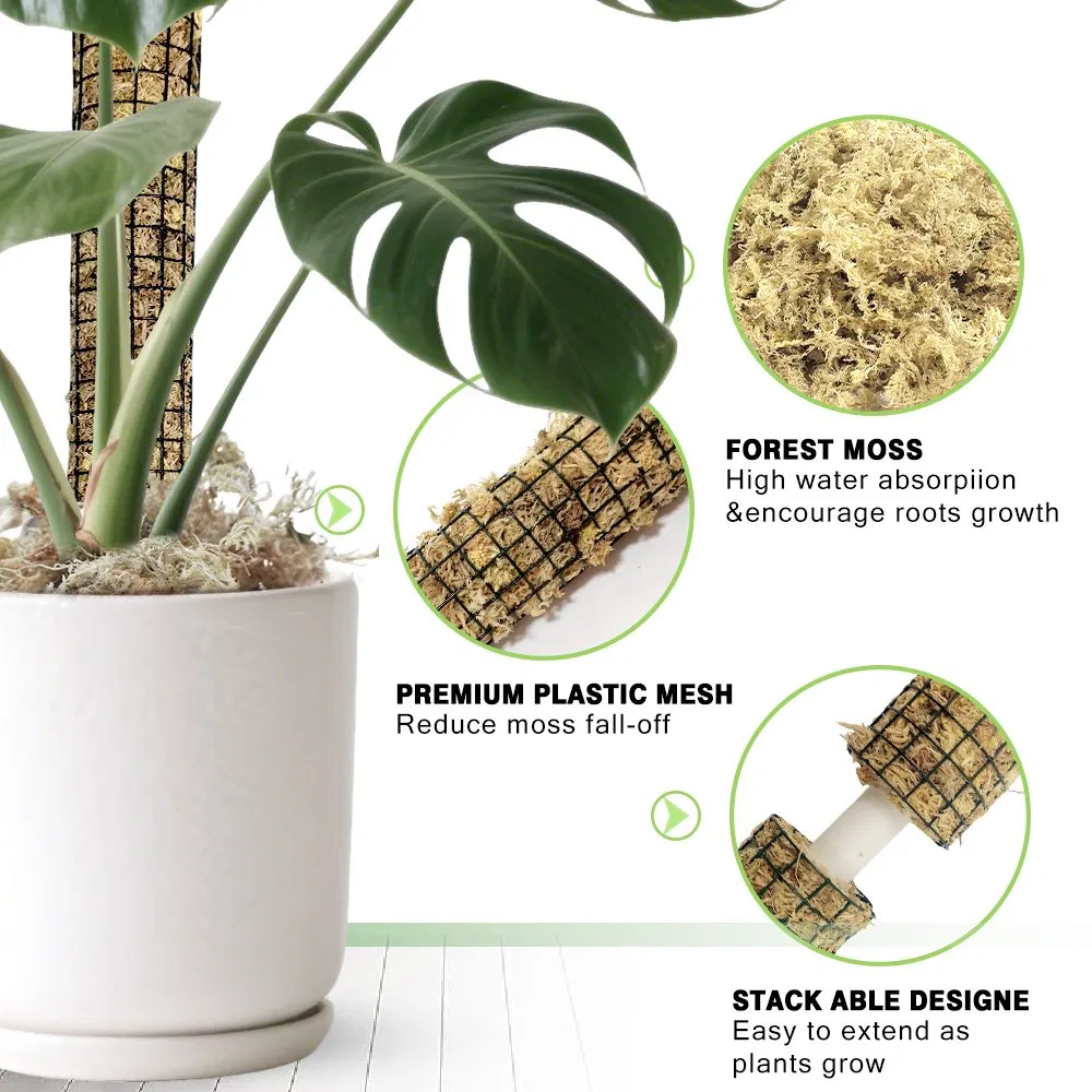 Moisture-Retaining Stackable Green Moss Pole for Pothos & Tropical Climbing Plants