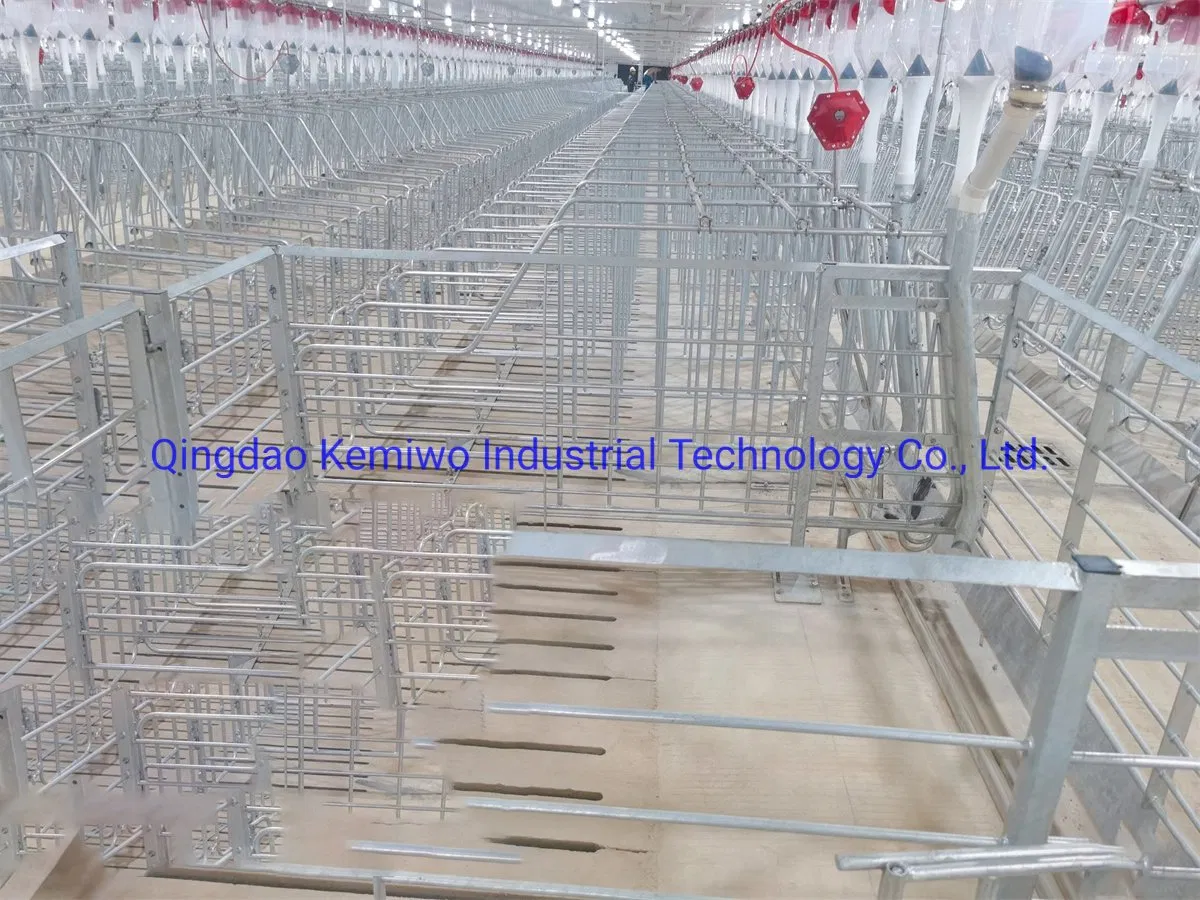 Breeding Equipment National Standard Hot-DIP Galvanized Pipe Sow Positioning Bar Single Bar