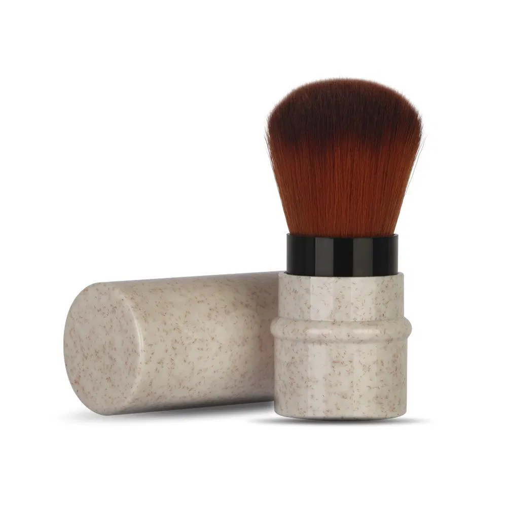 High Quality Wheat Straw Plastic Handle Telescoping Brush