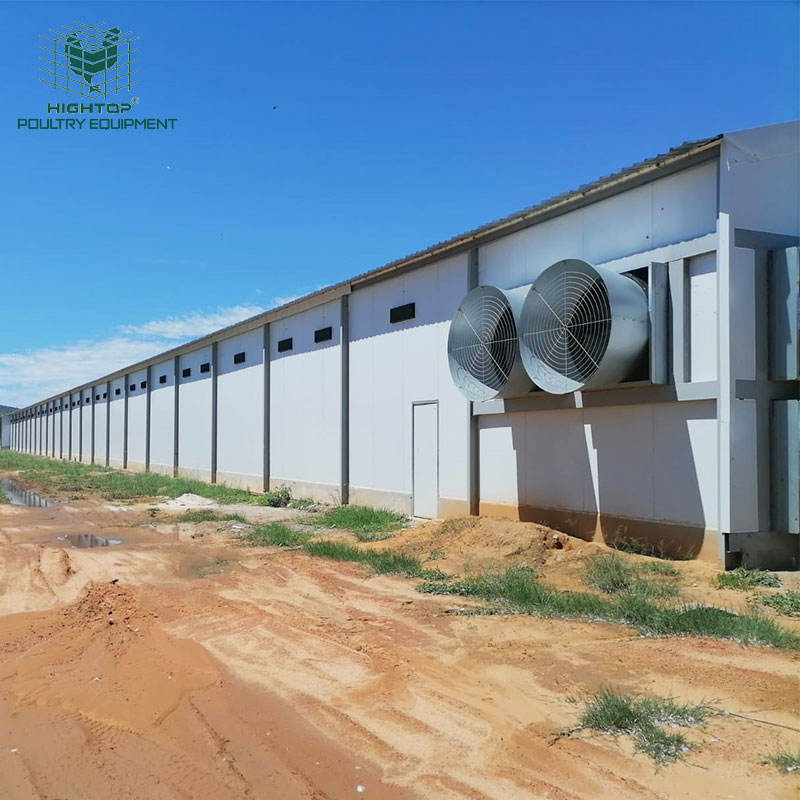 Tunnel Vent System Prefab Chicken Shed For Pan Feeding Broiler House