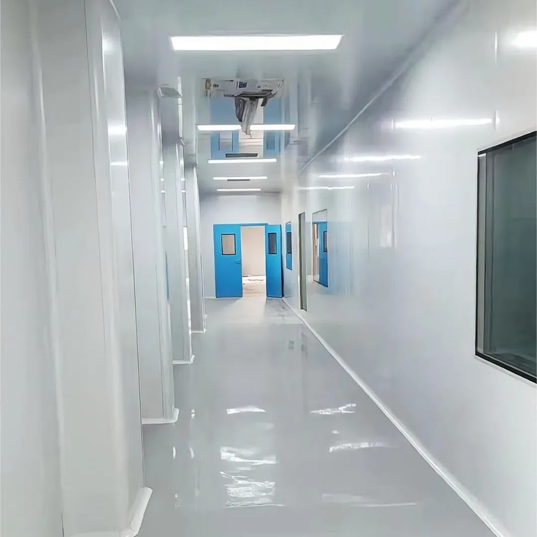 Glare-Reducing High Airtightness Stainless Steel Clean Room Window