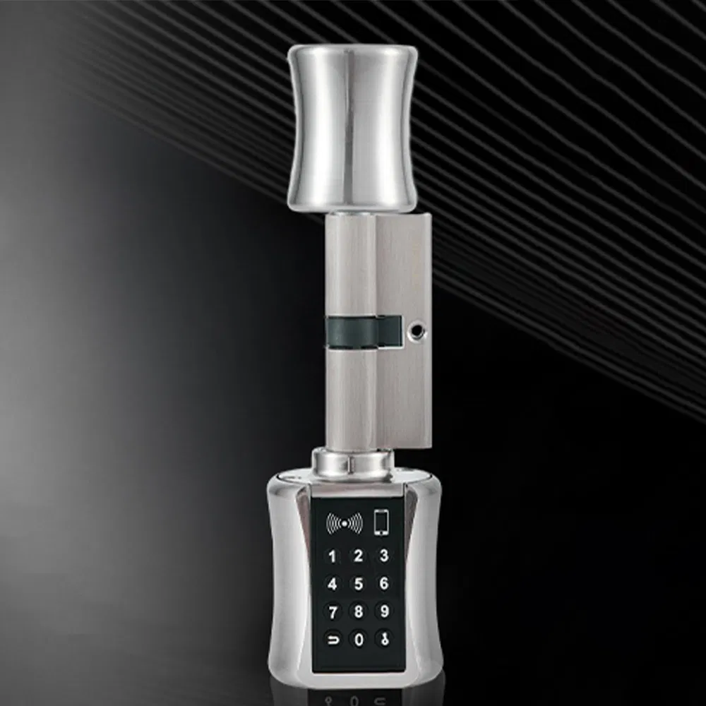 Smart Lock Cylinder Europe Tuya APP Keyless Smart Lock Cylinder with Password Card