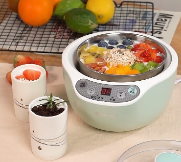 Ln2 Small Household Yogurt Maker and Fermentation Machine for Delicious Yogurt