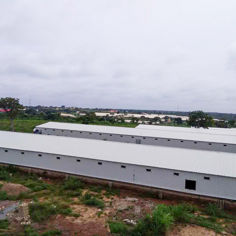 Customized Prefabricated Steel Structure Poultry Farm House Chicken House