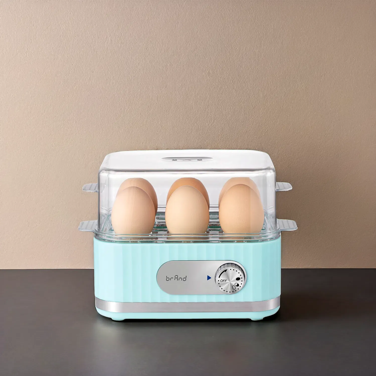 6-Egg Electric Egg Boiler with Timer for Perfect Cooking