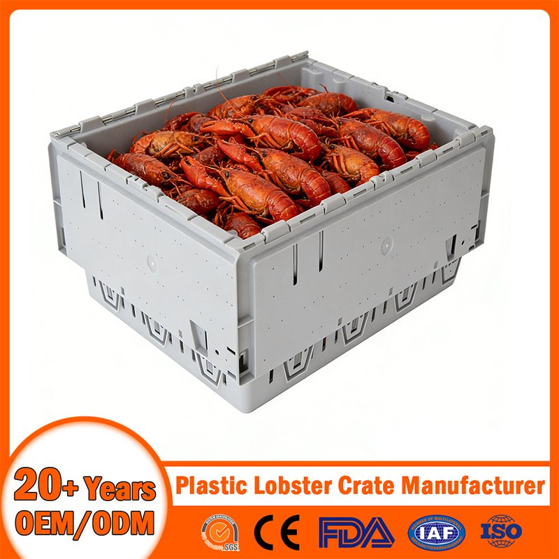 Stackable Tote Foldable Nestable Storage Collapsible Bale Arm EU Logistic Mesh Plastic Lobster Crate for Beer/Bread/Seafood/Milk/Moving/Turnover/Agriculture
