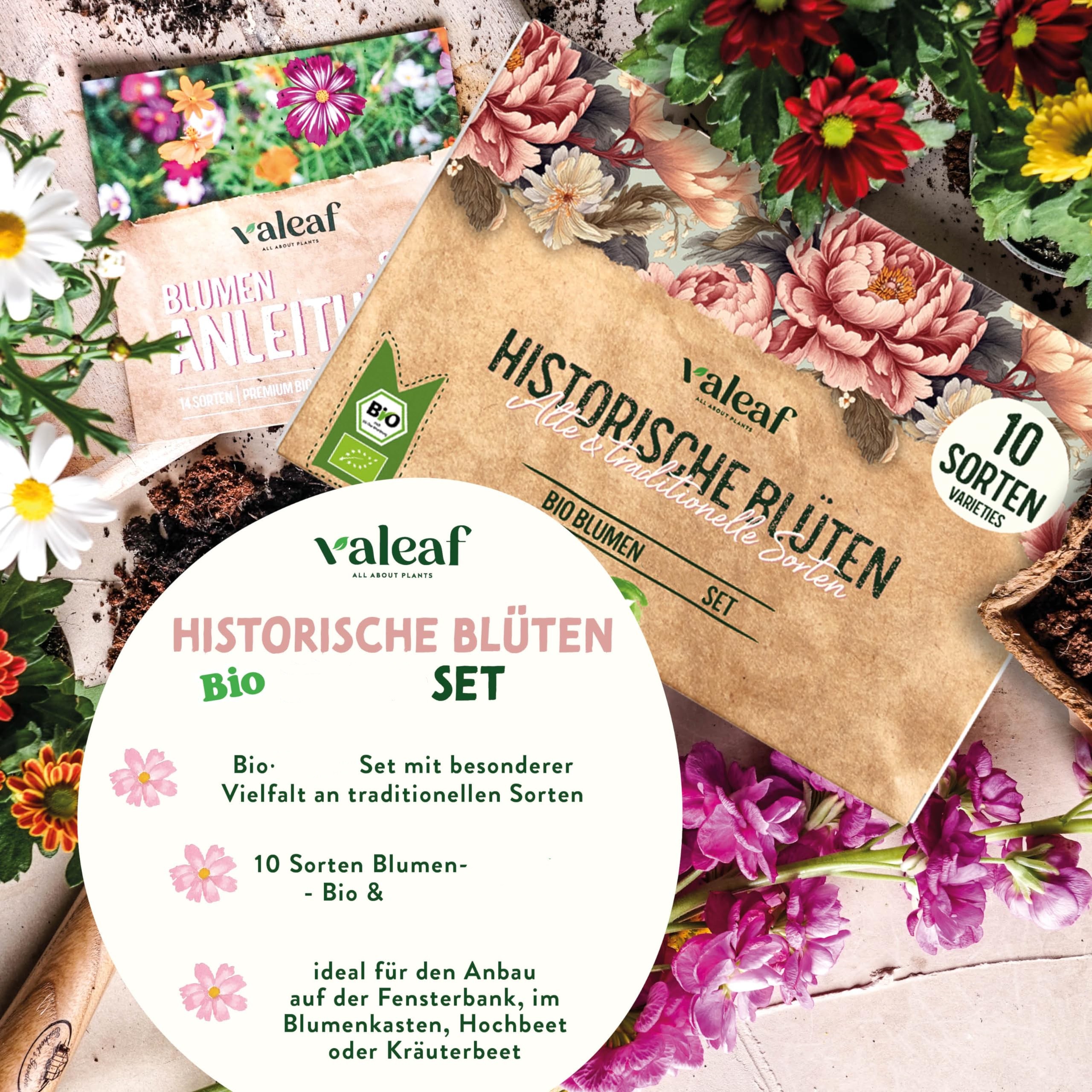 Набор для выращивания цветов домашний