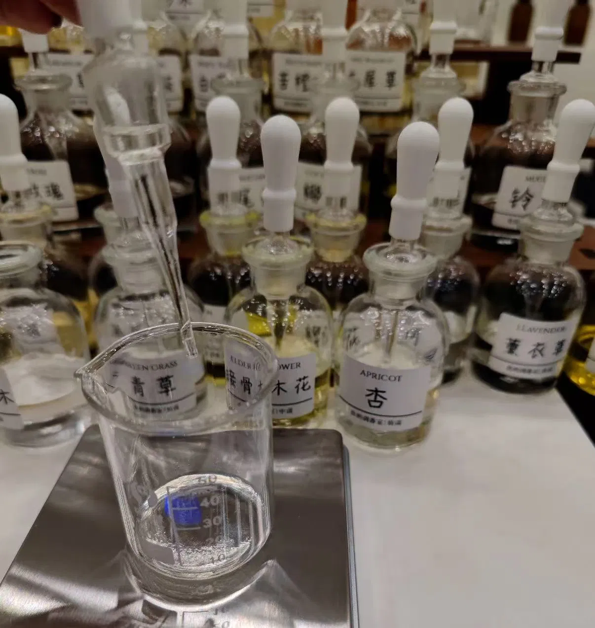 Fast Delivery, Original Perfume, Long-Lasting Fragrance