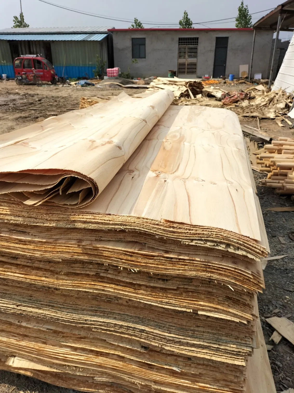 1.7mm Pine Veneer Plywood European Oak American Walnut Sawn Toplayer Floor Sliced Veneer Lamella Floor for Flooring