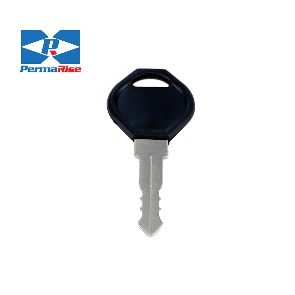 Low Price Nickel Plated Blank Room Key Door for Italy Market