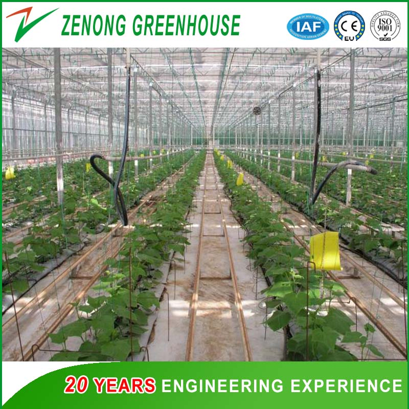 Automatic Self-Propelled Water Sprinkler for Greenhouse Irrigation
