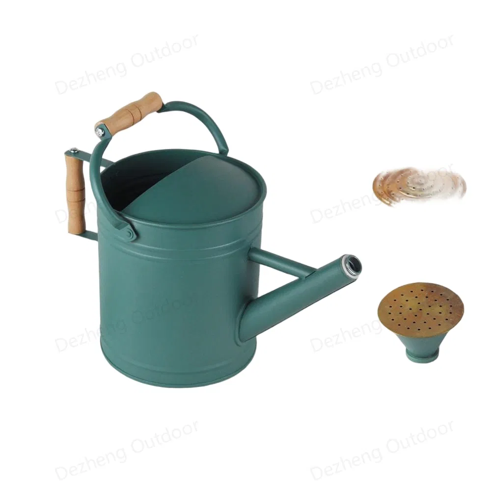 Wholesale Watering Can Plant Watering Perfect for Indoor Outdoor