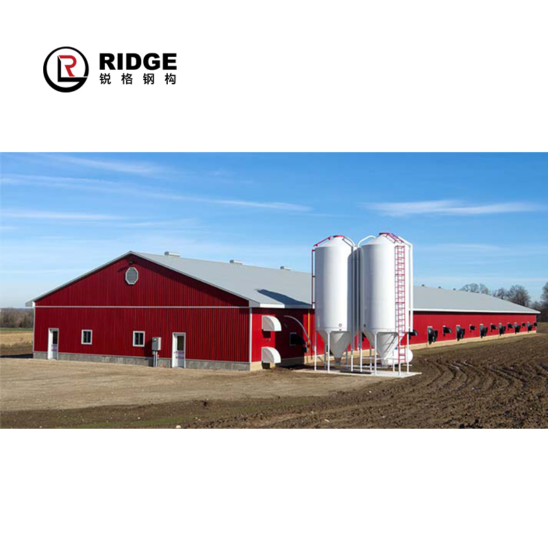 Prefabricated Steel Structure Design Fabricated Construction Cow Shed Farm House