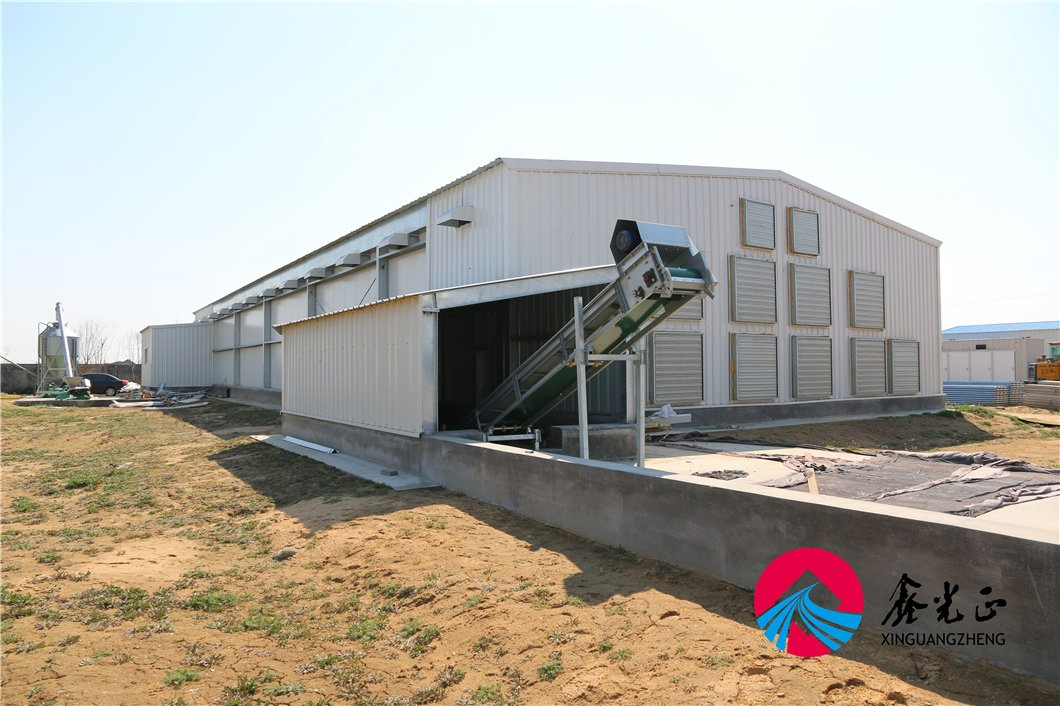 Spacious Durable Steel Chicken House for Optimal Egg Production