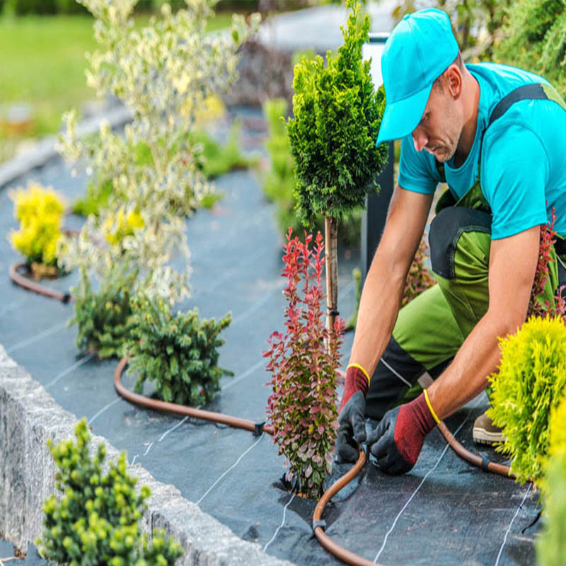 Hot Sale Weed Barrier for Agricultural Planting Landscape Fabric Weed Barrier