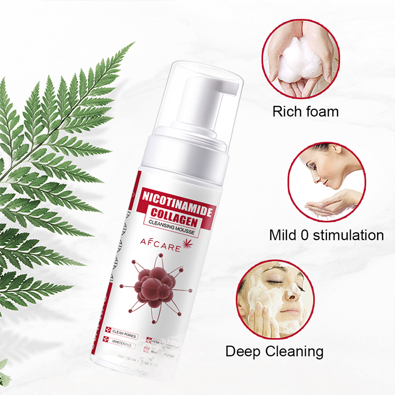 Best Gentle Foam Face Wash Rose Hip Seed Foaming Facial Cleanser