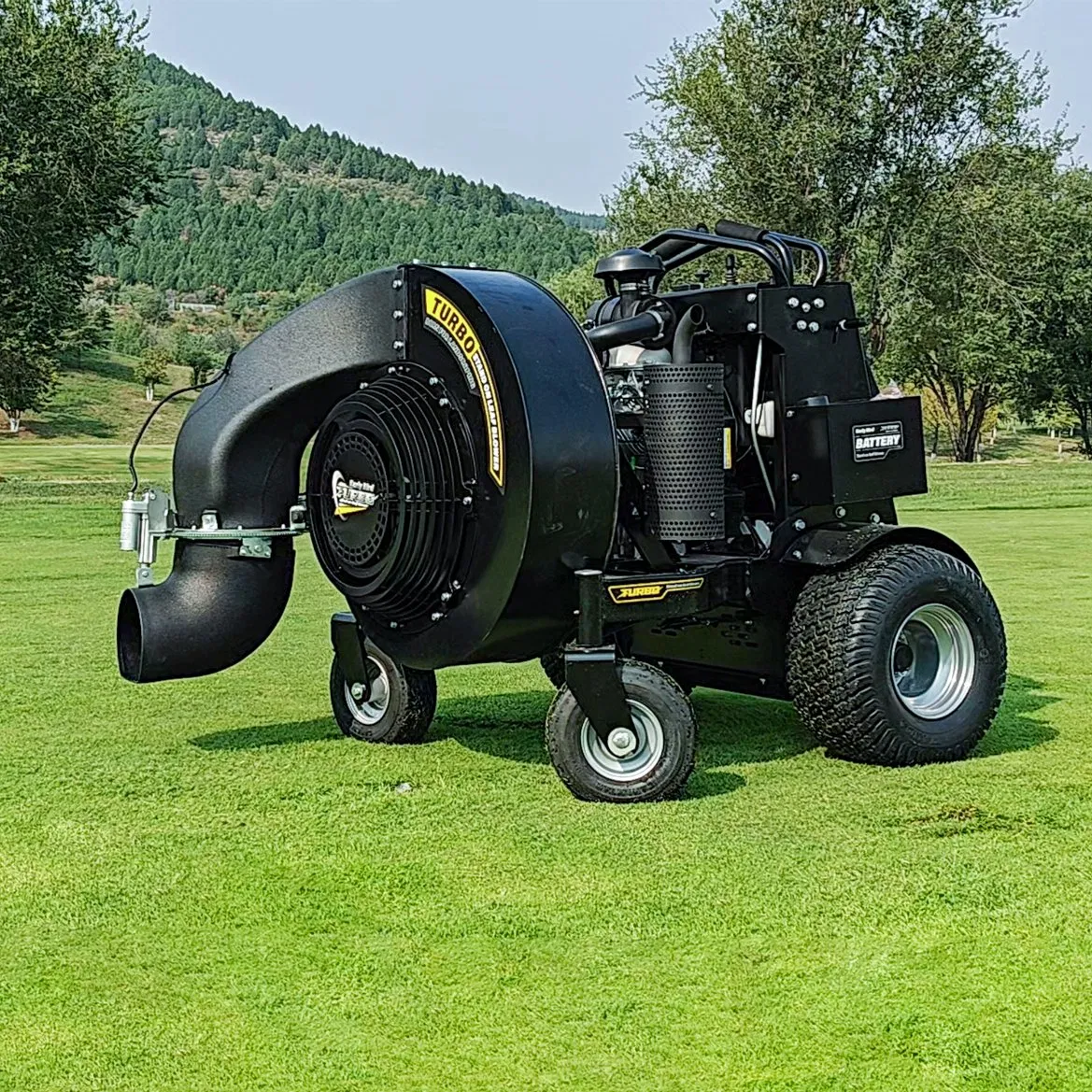 Good Price Customized China Gasoline Garden Snow Blower