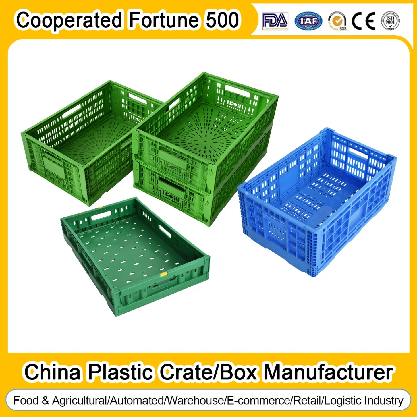 PP Material Foldable Plastic Collapsible Storage Container Crate for Fruit Vegetable Moving