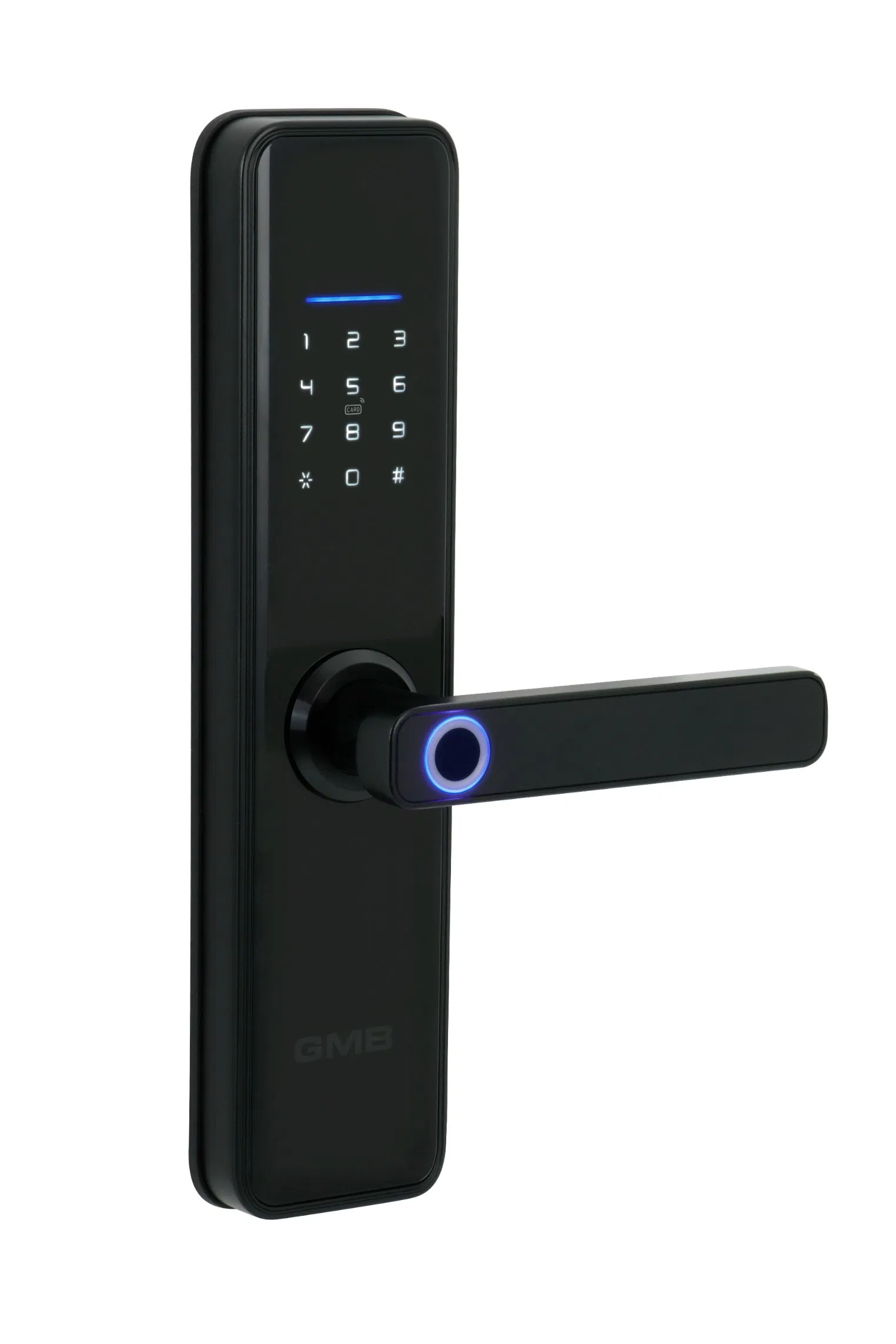 High Security Fingerprint/RFID Card/WiFi/Tuya/TT APP Digital Smart Door Lock (660)