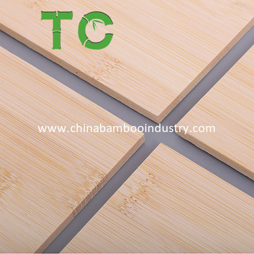 Wholesale 2 Layer 10mm Horizontal Bamboo Panel Plywood Board